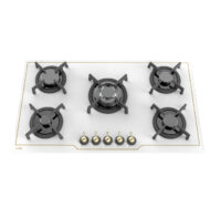 گاز توکار IG521W